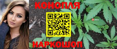 бошки Малгобек
