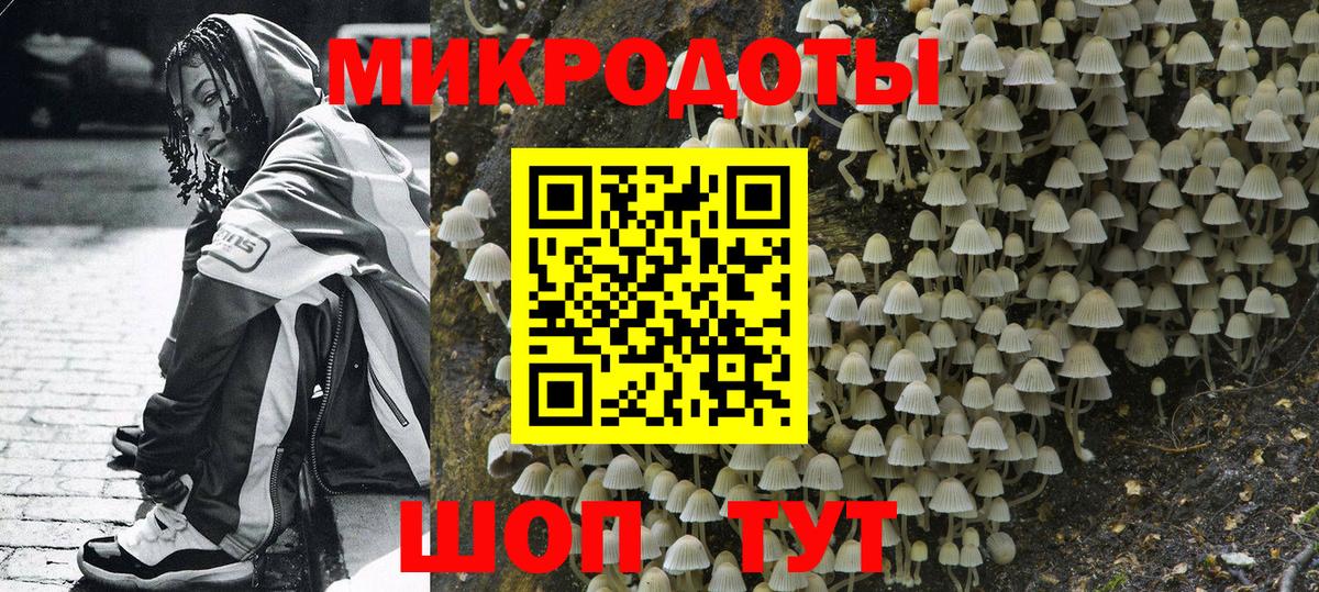 Псилоцибиновые грибы Psilocybine cubensis Железногорск