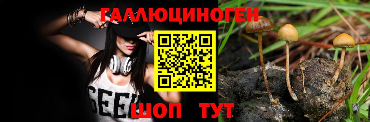 Железногорск  Галлюциногенные грибы Magic Shrooms  Вход с VPN 